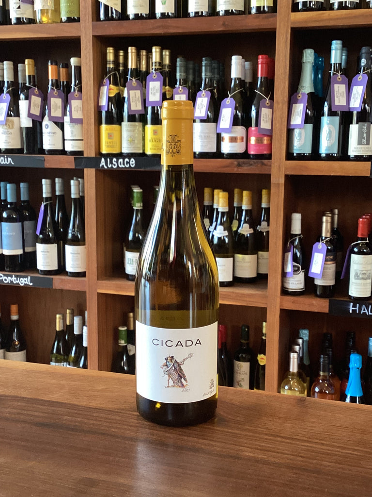 Cigale Cicada Blanc 2023