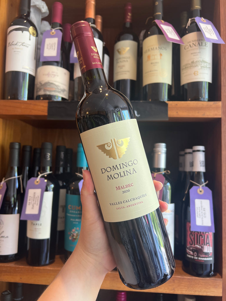 Domingo Molina Malbec